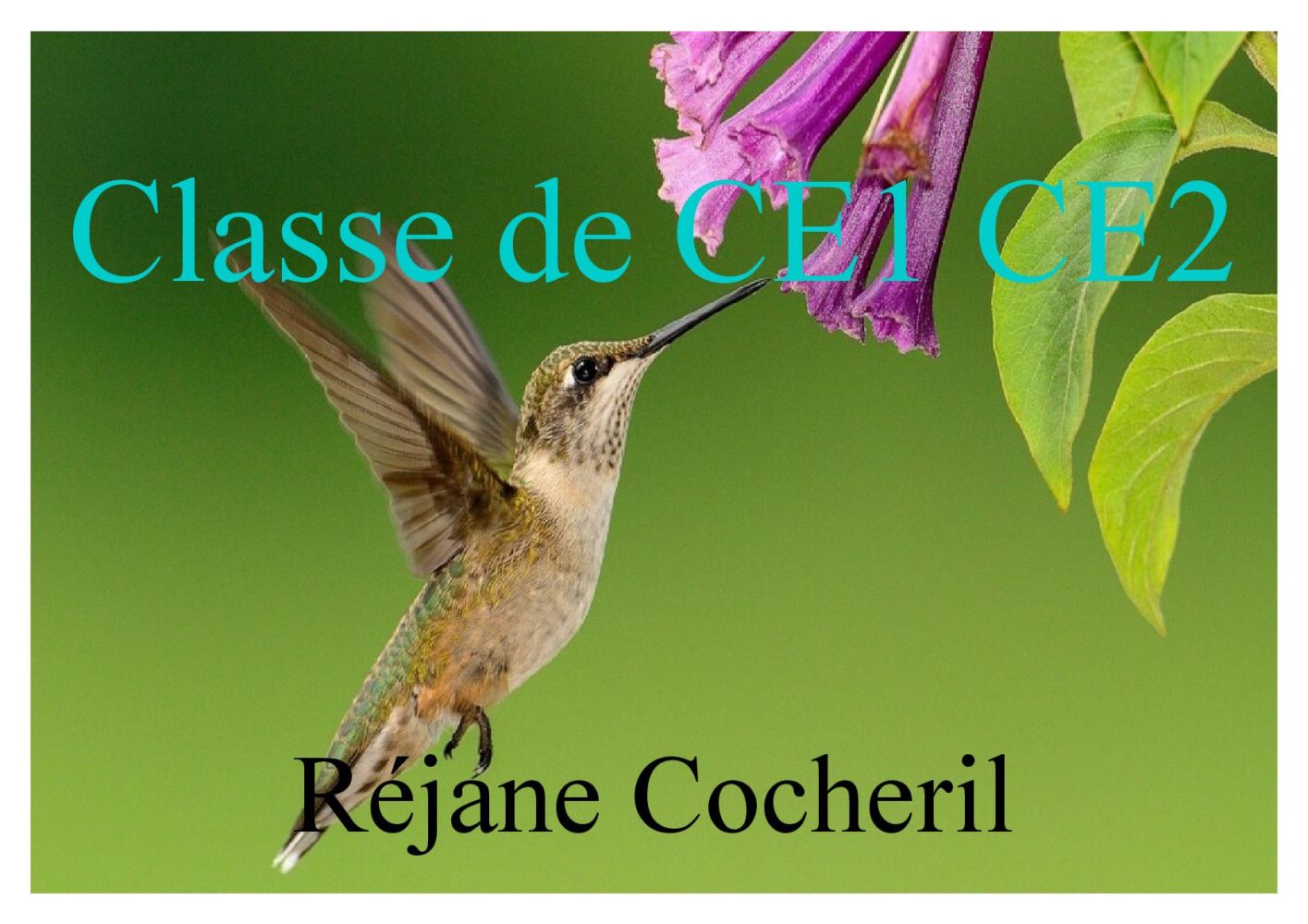 affichage porte-page-001